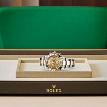 116503 コスモグラフ デイトナ オイスター、40 mm、オイスタースチール&イエローゴールド 116503 コスモグラフ デイトナ オイスター、40 mm、オイスタースチール&イエローゴールド