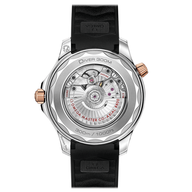 SEAMASTERDIVER 300M- コーアクシャル マスター クロノメーター 42MM -12