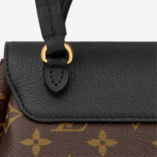 【1223更新商品】LOUIS VUITTON ルイ･ヴィトン モンスリ NM PM モノグラム･キャンバス / カラーレザー M45515