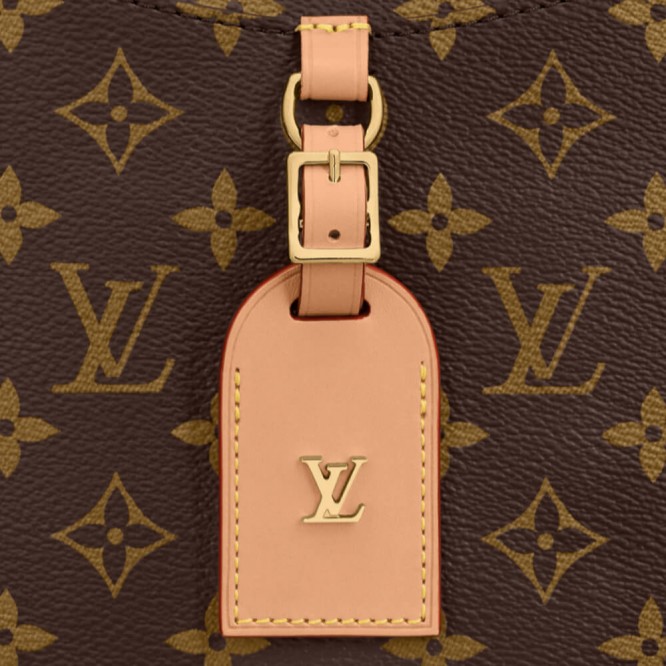 【直営店買付】LOUIS VUITTON 2020秋冬 オデオン NM PM M45354