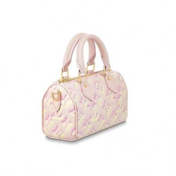 【Louis Vuitton】 ルイヴィトン ナノスピーディ 2WAYバッグ