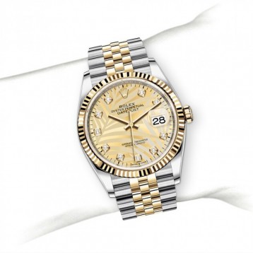 モデル オイスター、36 mm、オイスタースチール＆イエローゴールド