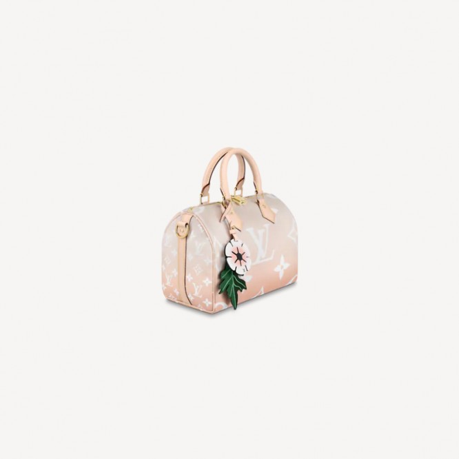 【1229更新商品】LOUIS VUITTON ルイ･ヴィトン スピーディ・バンドリエール 25 ジャイアント M45722